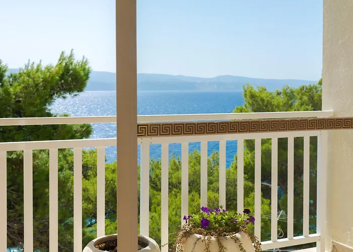 Sagitta All Inclusive Holiday Resort 3* Rogoznica (Sibenik-Knin)