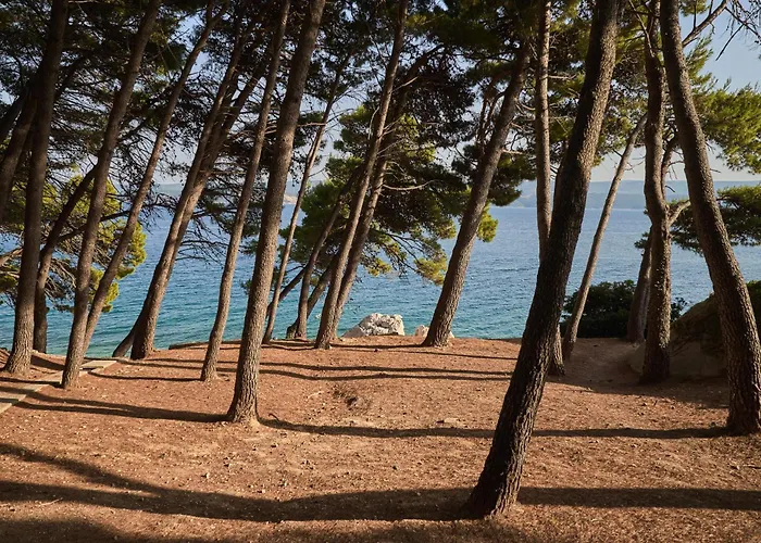 Sagitta All Inclusive Holiday Resort Hotel Rogoznica (Sibenik-Knin)