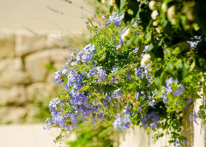 瑟吉塔度假村酒店 - 全包 酒店 罗戈兹尼察